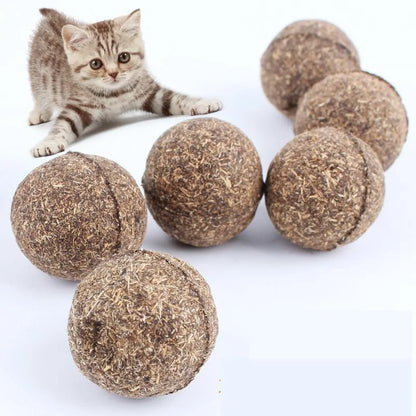 Catnip Treat Ball Toy