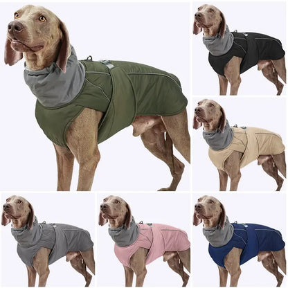 Dog's Winter Jacket - MeeowShop