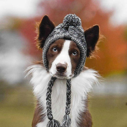 Pet Windproof Knitting Hat - MeeowShop