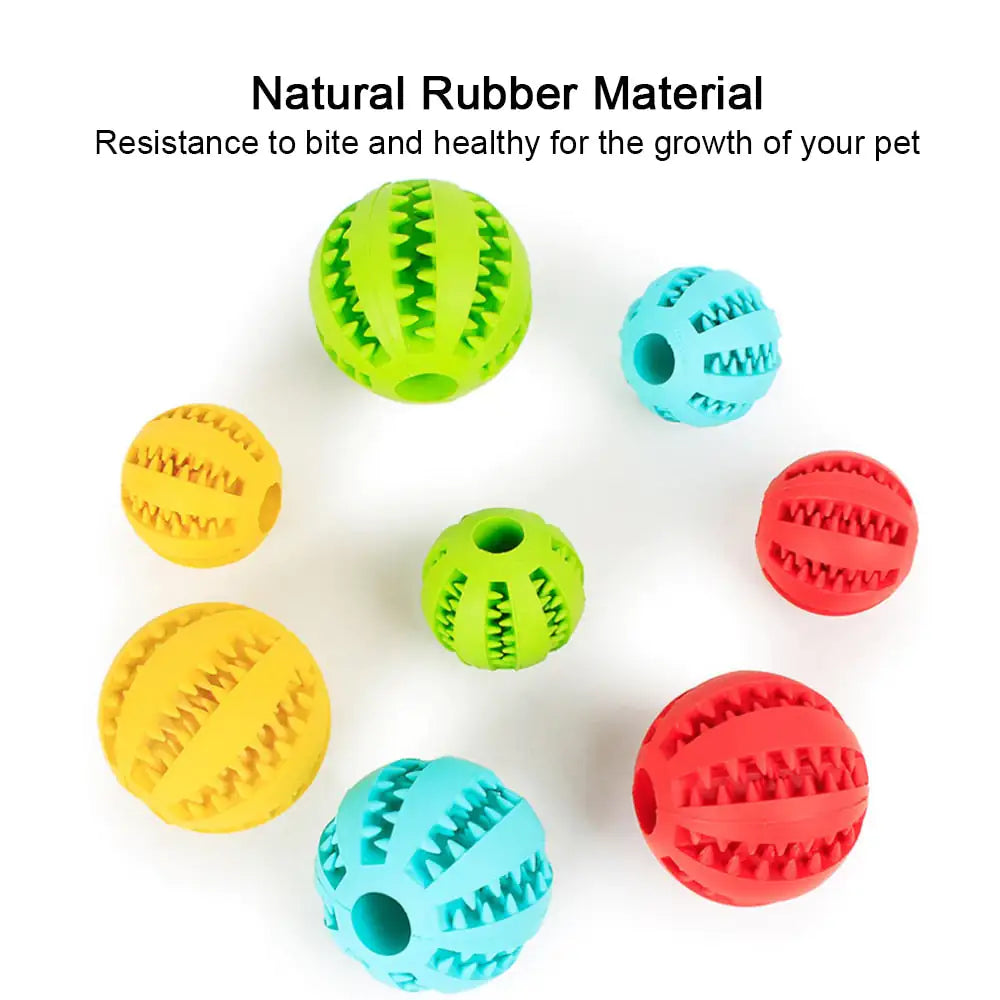 Pet's Interactive Rubber Ball Toy - MeeowShop