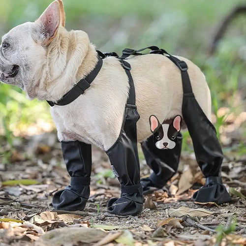 Dog's Mud Boots - MeeowShop