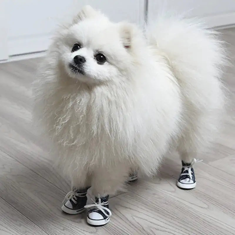 Dog's Anti-skid Casual Boots (4-Pieces) - MeeowShop