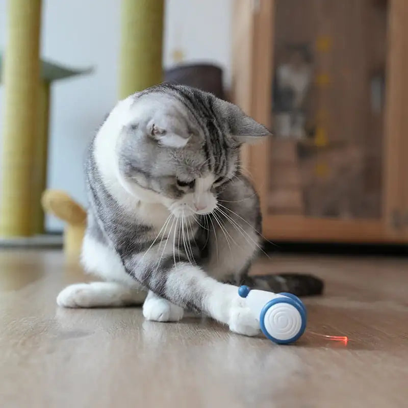 Cat's Electronic Wicked Mouse Toy - MeeowShop