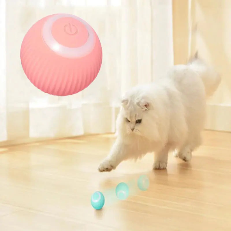 Cat's Electric Auto-Rolling Ball Toy - MeeowShop