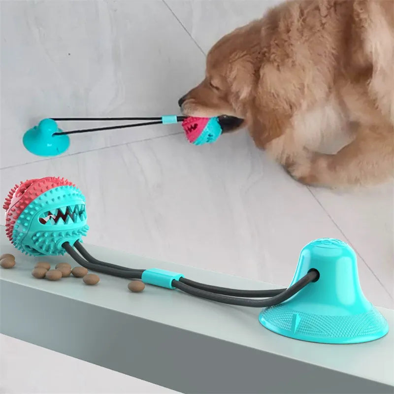 Dog's Treat Ball Toy with Suction Cup - MeeowShop