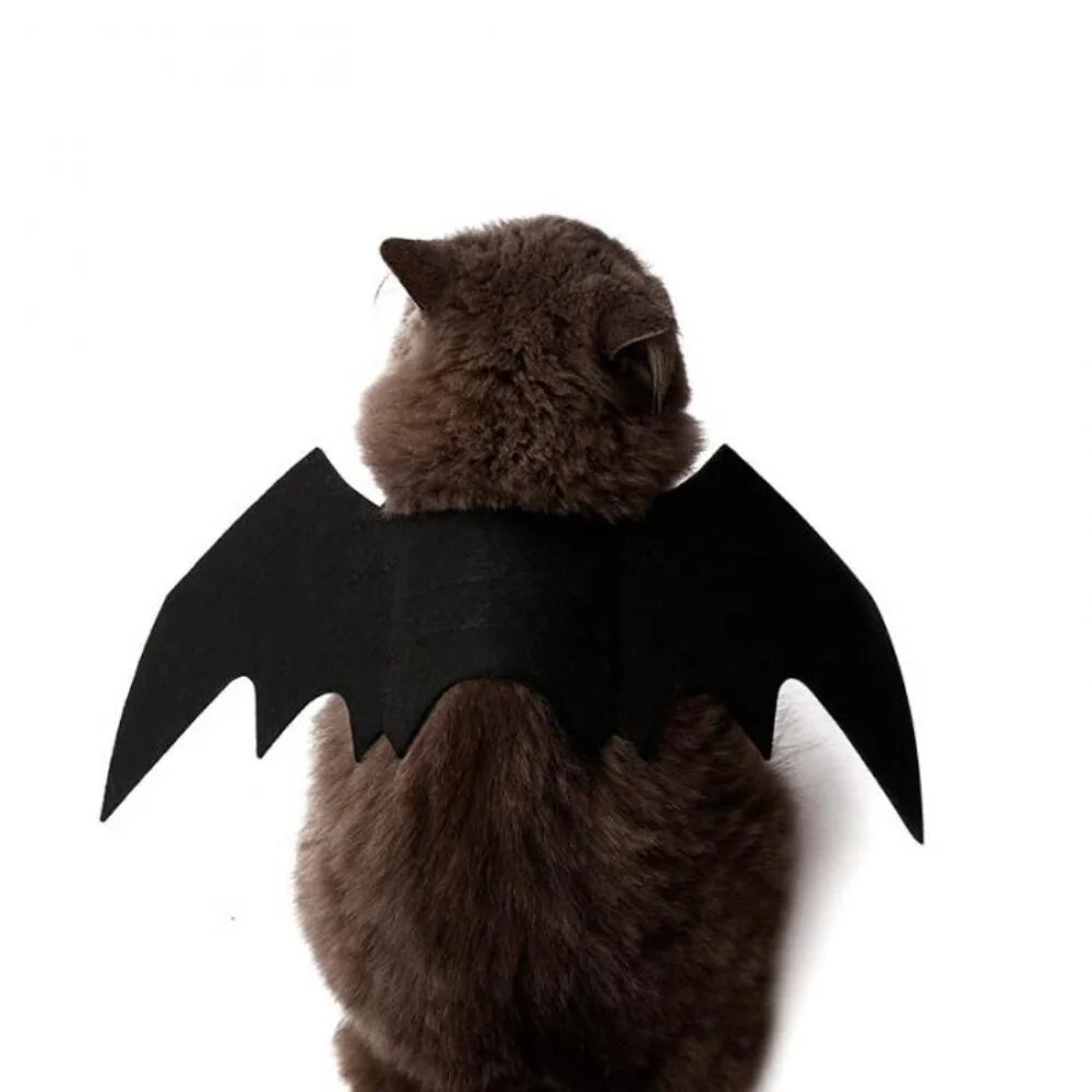 Pet's Black Bat Wings Halloween Outfit - MeeowShop