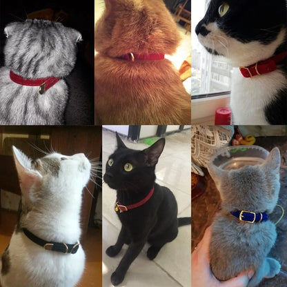 Pet's Velvet Collars For Small Animals - MeeowShop