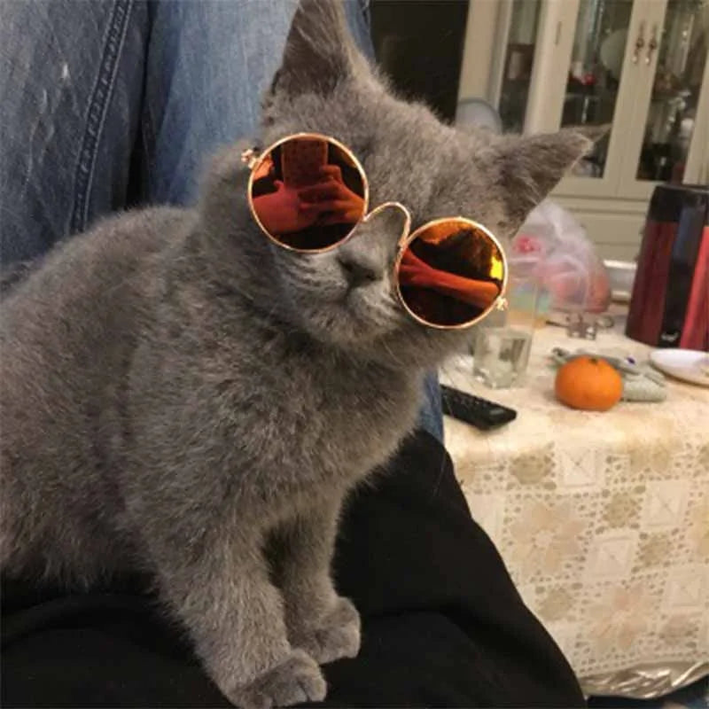 Pet's Round Vintage Sunglasses - MeeowShop