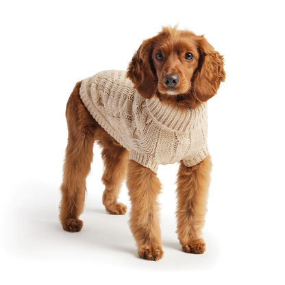 Pet's Chalet Sweater - MeeowShop