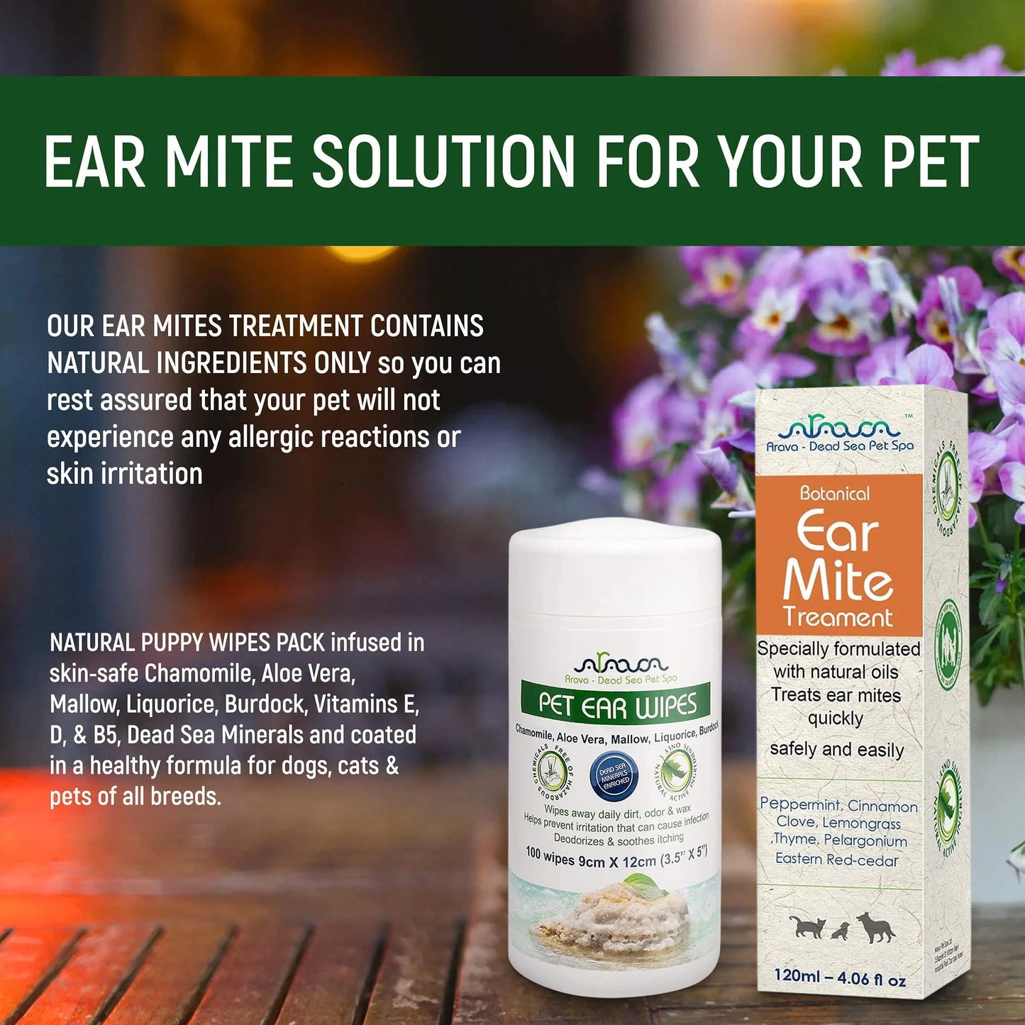 Natural Ear Mite Treatment for Adult Dogs & Cats Ear Mites Infection Cleaner