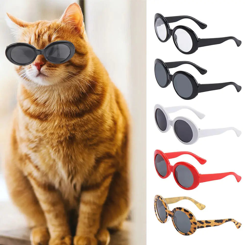 Pet's Eyeglasses Photograph Prop - MeeowShop