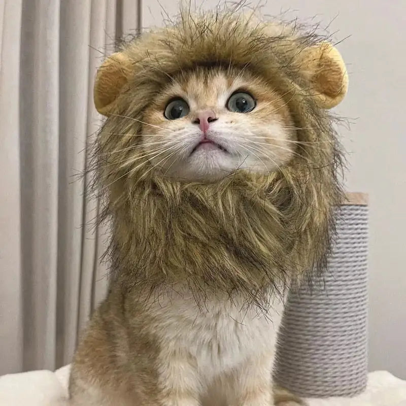 Cat's Lion's Mane Costume - MeeowShop