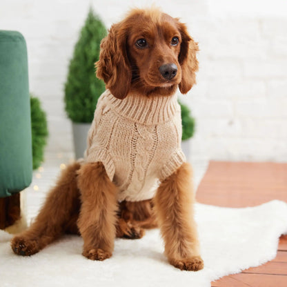 Pet's Chalet Sweater - MeeowShop