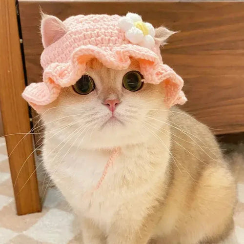 Cat's Cute Refined Hats | Flower, Frog & Strawberry - MeeowShop