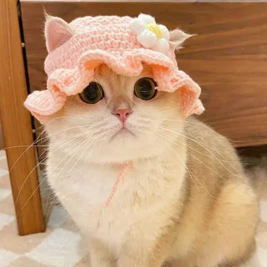 Cat's Cute Refined Hats | Flower, Frog & Strawberry - MeeowShop