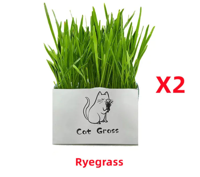 PurePaws Organic Cat Grass