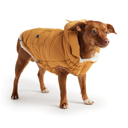 Dog's Super Puff Parka - Yellow