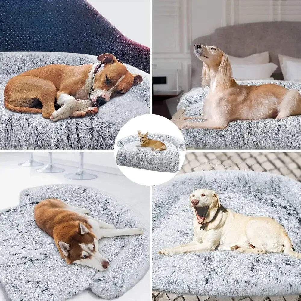 Pet's Washable Plush Bed Sofa - MeeowShop