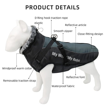 Dog's Waterproof Cotton Coat - MeeowShop